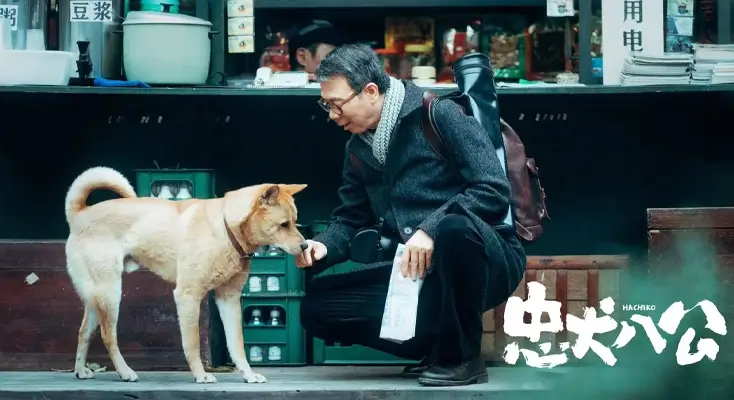 海外用户如何看国内视频呢?指南